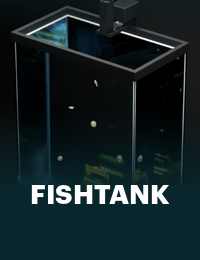 Fish Tank